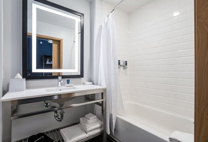 带城市景观的套间, Four Points By Sheraton Elkhart