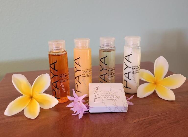 חדר סטנדרט עם מיטת קינג, Kohala Village Inn