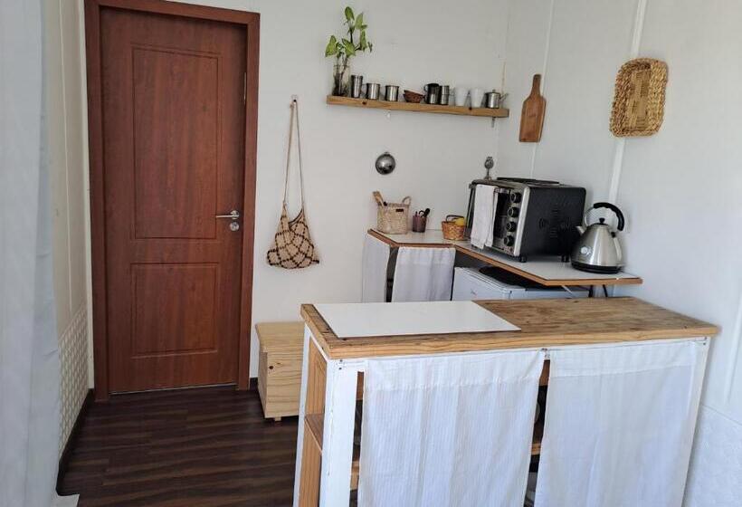 اتاق اکونومی, La Estacion Colonia