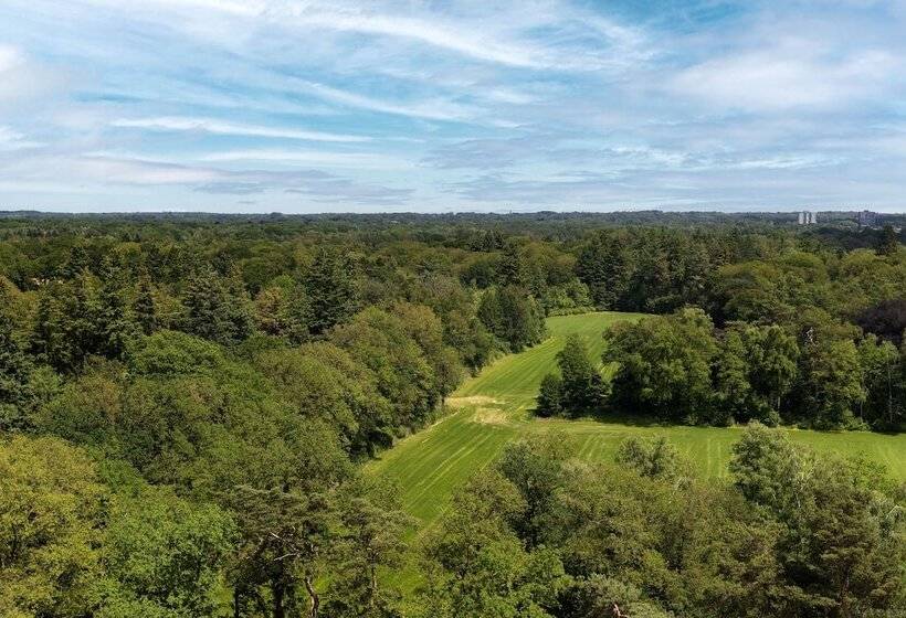 اتاق استاندارد با چشمانداز, U Park