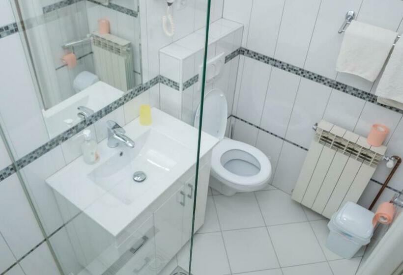 Студия Стандарт, San 011