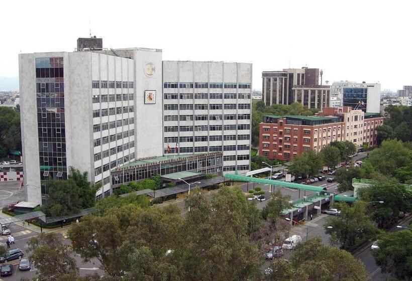 Suíte Cama King, Singular Sócrates