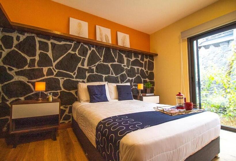 Suíte Cama King, Singular Sócrates