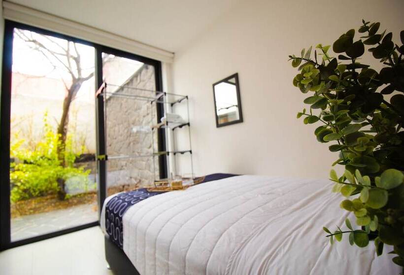 Quarto Estandar Banheiro Compartilhado, Singular Sócrates