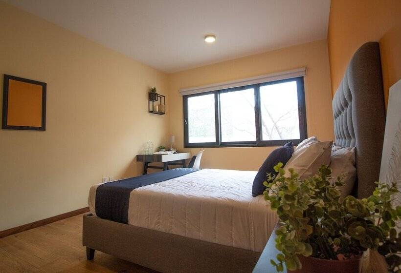 Quarto Estandar Banheiro Compartilhado, Singular Sócrates