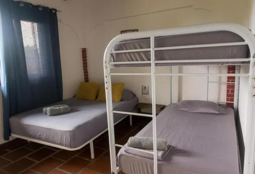 اتاق استاندارد چهارنفره با چشم‌انداز باغ, The Corner Hostel