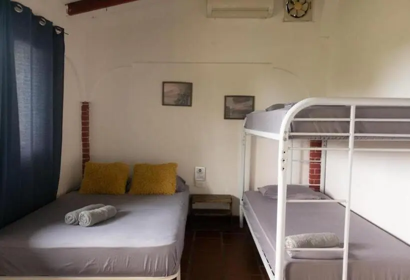 اتاق استاندارد چهارنفره با چشم‌انداز باغ, The Corner Hostel