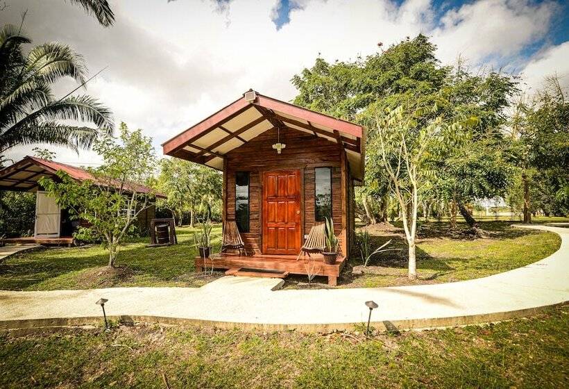 带双人床的标准工作室, Kikiwitz Resort