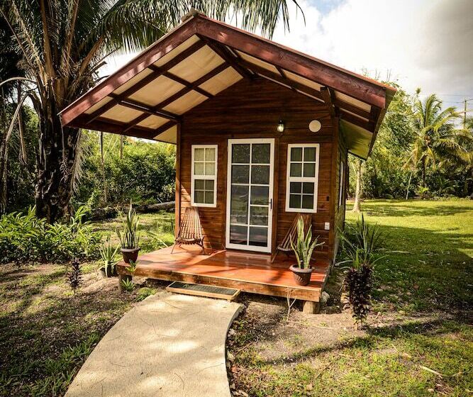 إستوديو قياسى سرير مزدوج, Kikiwitz Resort