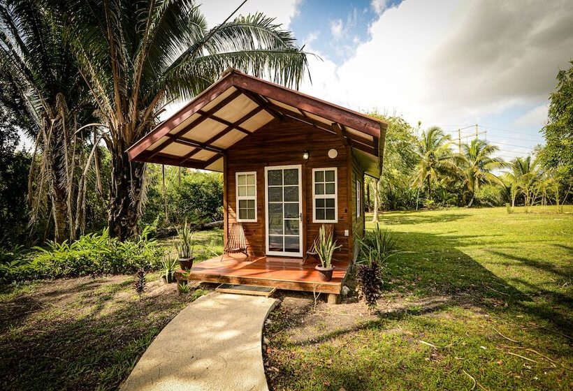 إستوديو قياسى سرير مزدوج, Kikiwitz Resort