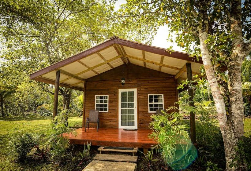 إستوديو قياسى سرير مزدوج, Kikiwitz Resort