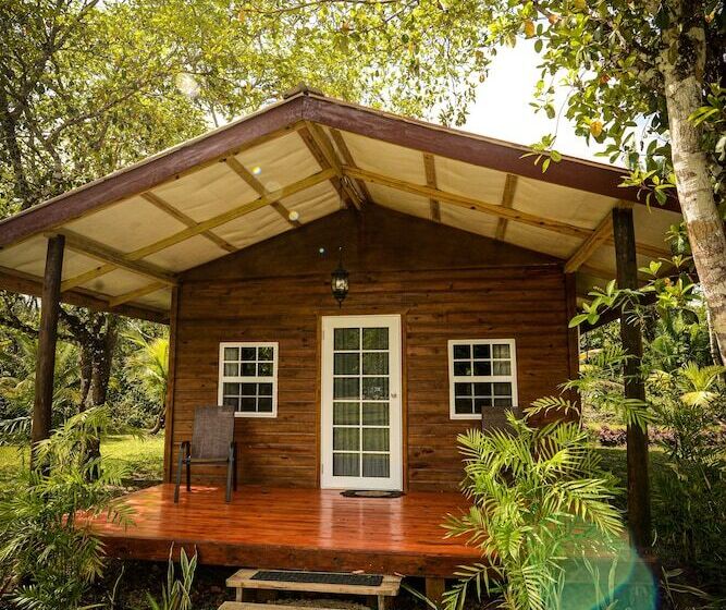 إستوديو قياسى سرير مزدوج, Kikiwitz Resort