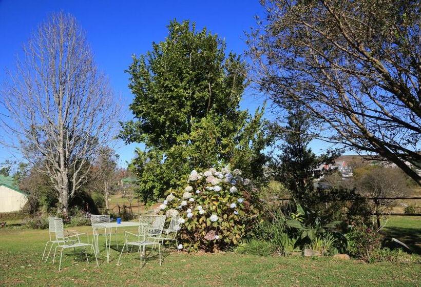 Номер Стандарт Вид на Сад, Kaapsche Hoop Gastehuis