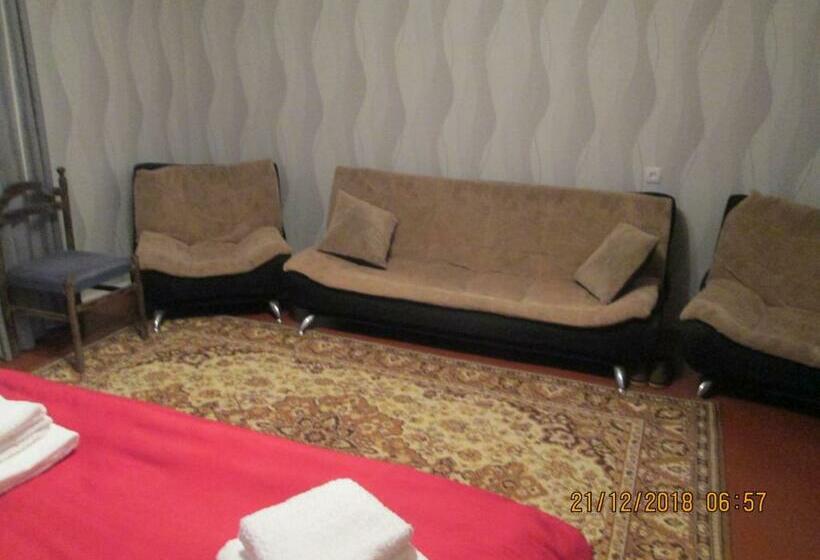 اتاق استاندارد, Sabuka Qushashvili