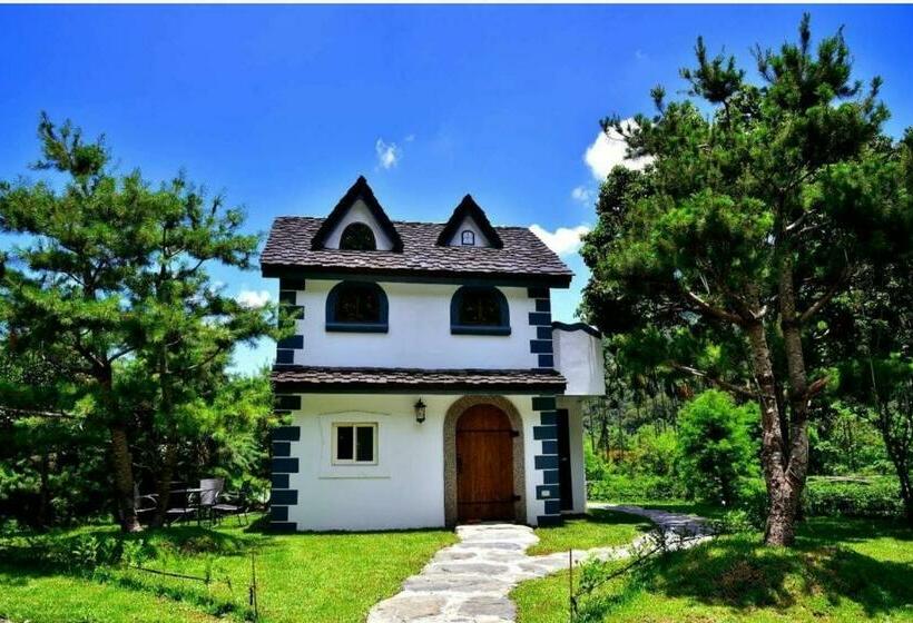 اتاق استاندارد, Mushroom Forest Guesthouse Camping Site