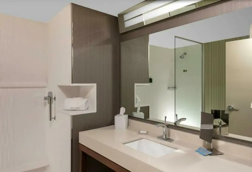سوئیت با تخت بزرگ, Courtyard By Marriott Indianapolis Westspeedway