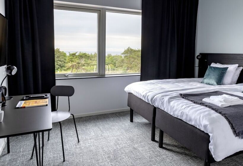 חדר סטנדרט, First Hotel Kokoloko