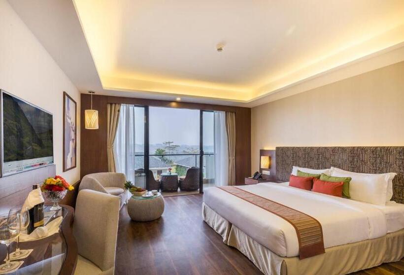 اتاق لوکس, Mountain Glory Forest Resort