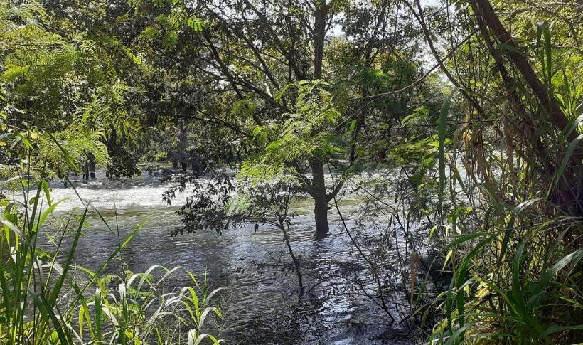 كابينة ديلوكس, Sunwin River Cabana