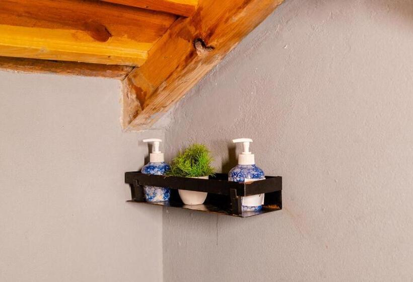 جناح عائلي, Shivaya Since 1953