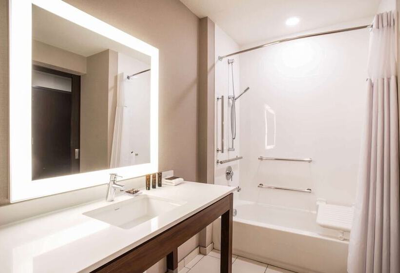 适合残疾人士使用的套间, Wingate By Wyndham Denver Airport