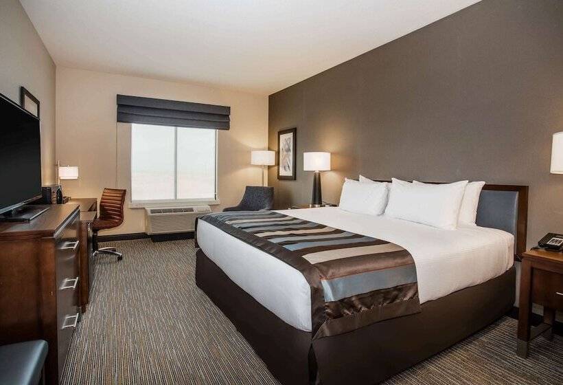 适合残疾人士使用的套间, Wingate By Wyndham Denver Airport