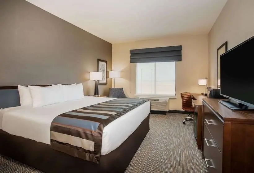 سوئیت برای معلولان, Wingate By Wyndham Denver Airport
