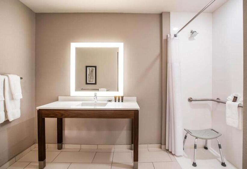 带大床的标准间, Wingate By Wyndham Denver Airport