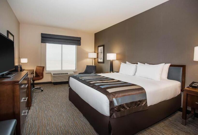 带大床的标准间, Wingate By Wyndham Denver Airport