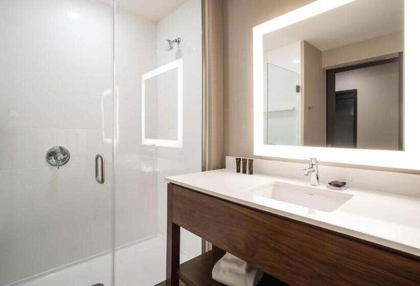 Стандартный Номер Кровать Кинг, Wingate By Wyndham Denver Airport