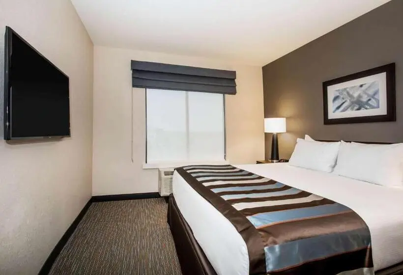 سوئیت با تخت بزرگ, Wingate By Wyndham Denver Airport
