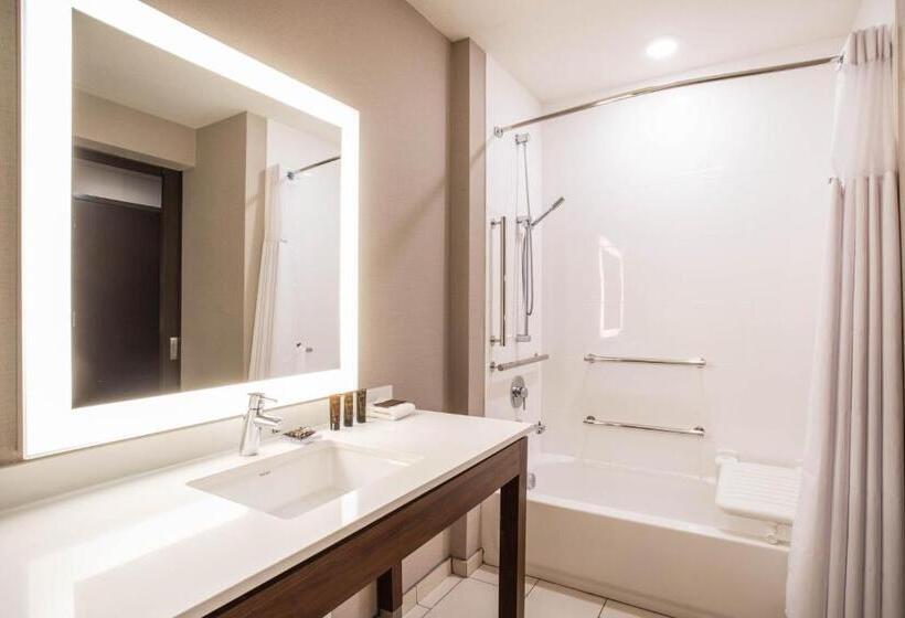 带大床的套房, Wingate By Wyndham Denver Airport