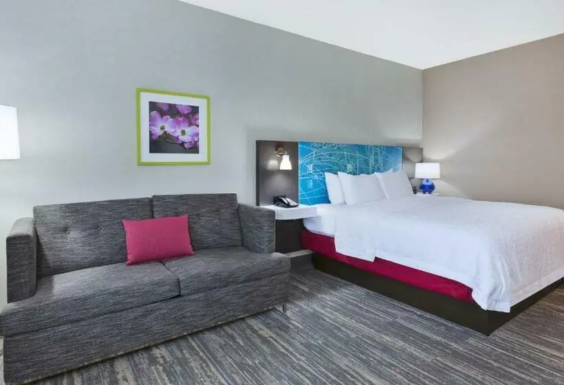 身障者適用キングサイズベッドルーム, Hampton Inn Sedalia