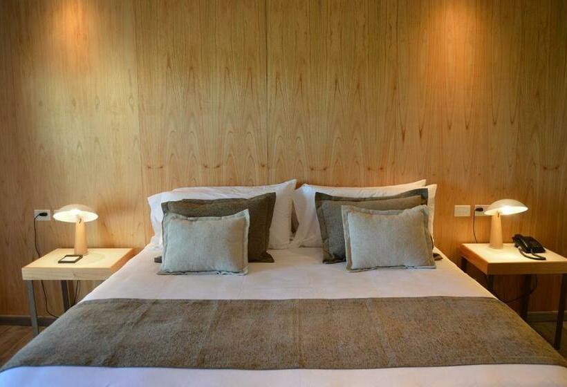 اتاق استاندارد, Termas Victoria Wellness Spa