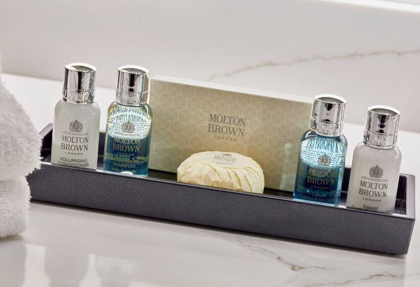 جناح تنفيذي مع بلكونة, The Daytona, Autograph Collection