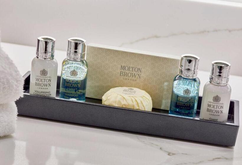 غرفة قياسية سرير كينج, The Daytona, Autograph Collection