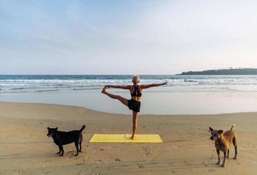 带阳台的三人标准间, Five