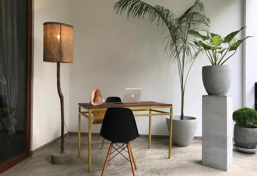 带阳台的三人标准间, Five