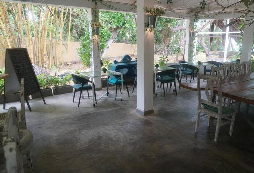 带花园景观的标准洋房, Five