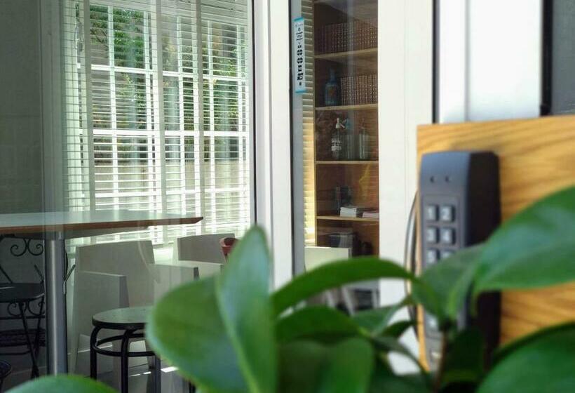 تختخواب در اتاق مشترک, Acolá Hostel