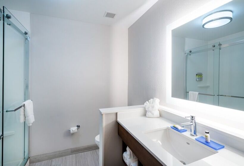 スイート, Holiday Inn Express & Suites Atlanta Airport Ne Hapeville, An Ihg