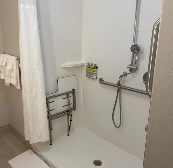 Номер Стандарт Кровать Кинг Адаптированный для Инвалидов, Holiday Inn Express & Suites Atlanta Airport Ne   Hapeville, An Ihg