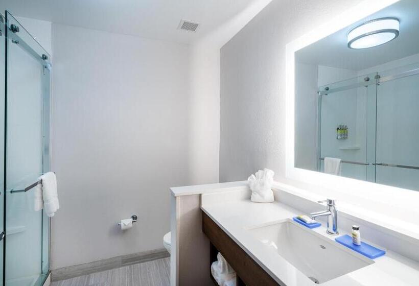 身障者適用スイートルーム, Holiday Inn Express & Suites Atlanta Airport Ne Hapeville, An Ihg