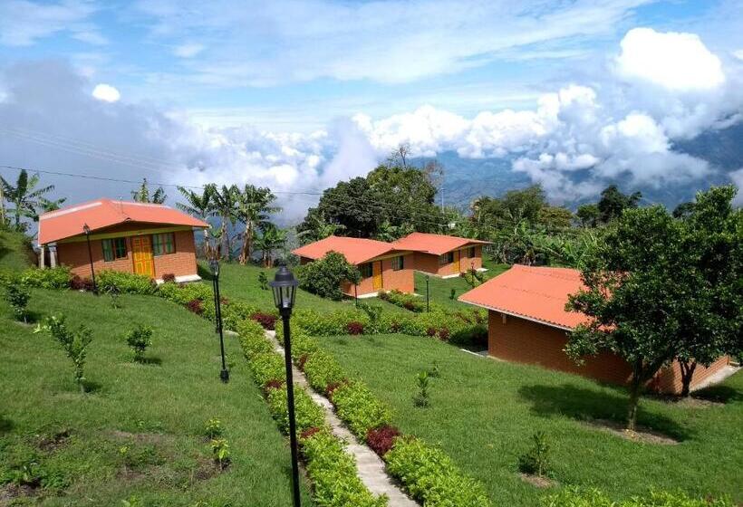 패밀리 방갈로, Paraíso Tropical