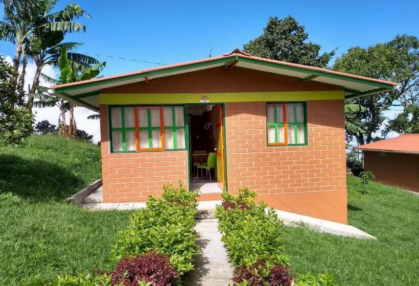 패밀리 방갈로, Paraíso Tropical