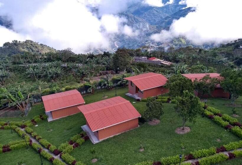 패밀리 방갈로, Paraíso Tropical