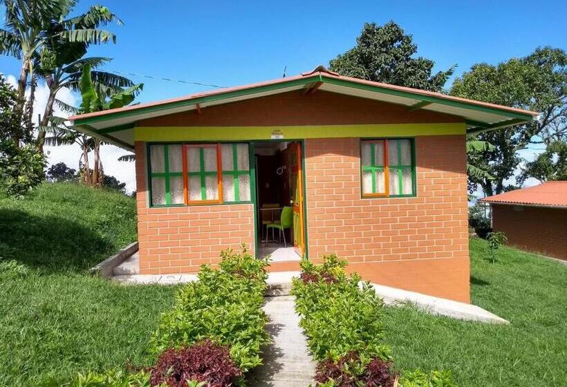 패밀리 방갈로, Paraíso Tropical