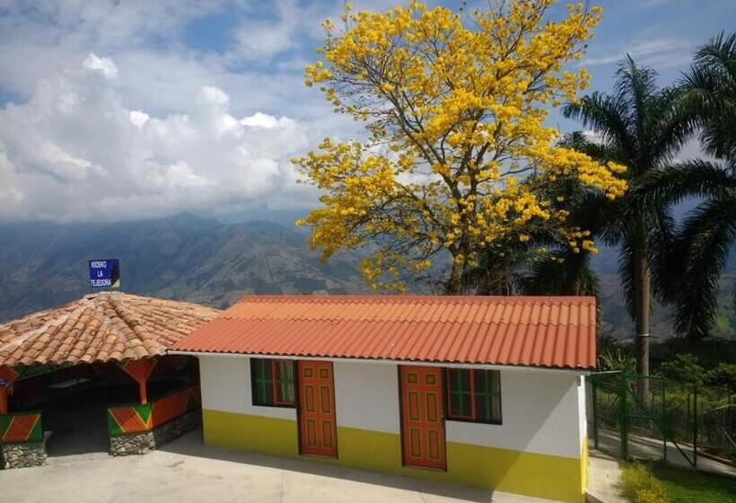 스탠다드 룸, Paraíso Tropical