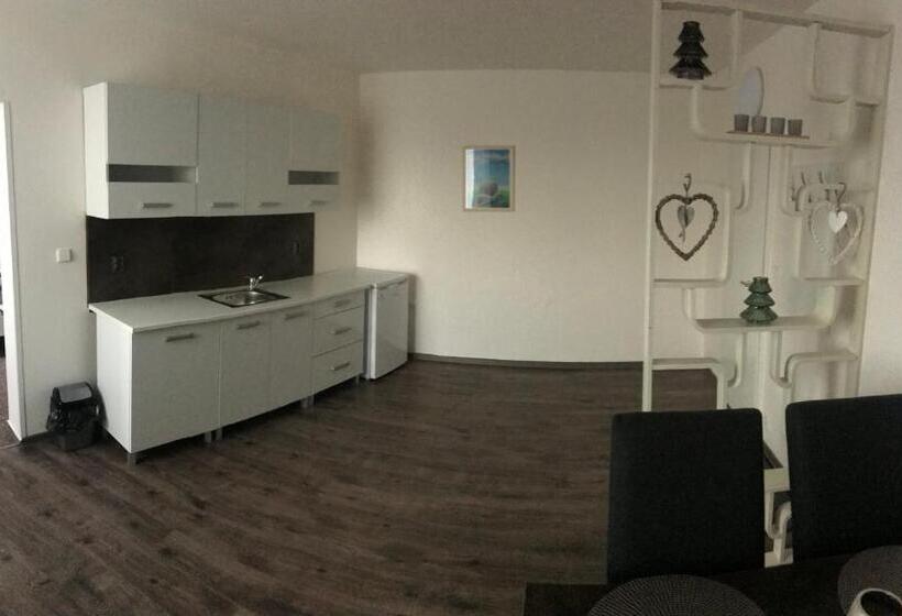 شقة ديلوكس غرفة واحدة, Penzion Stella