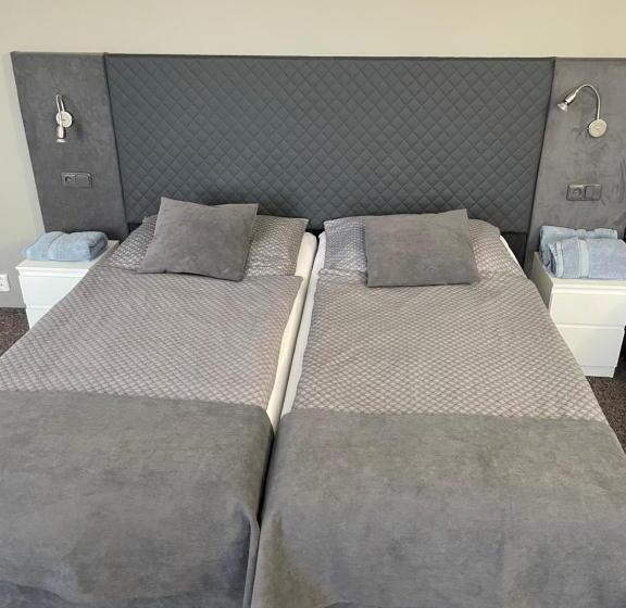 شقة ديلوكس غرفة واحدة, Penzion Stella